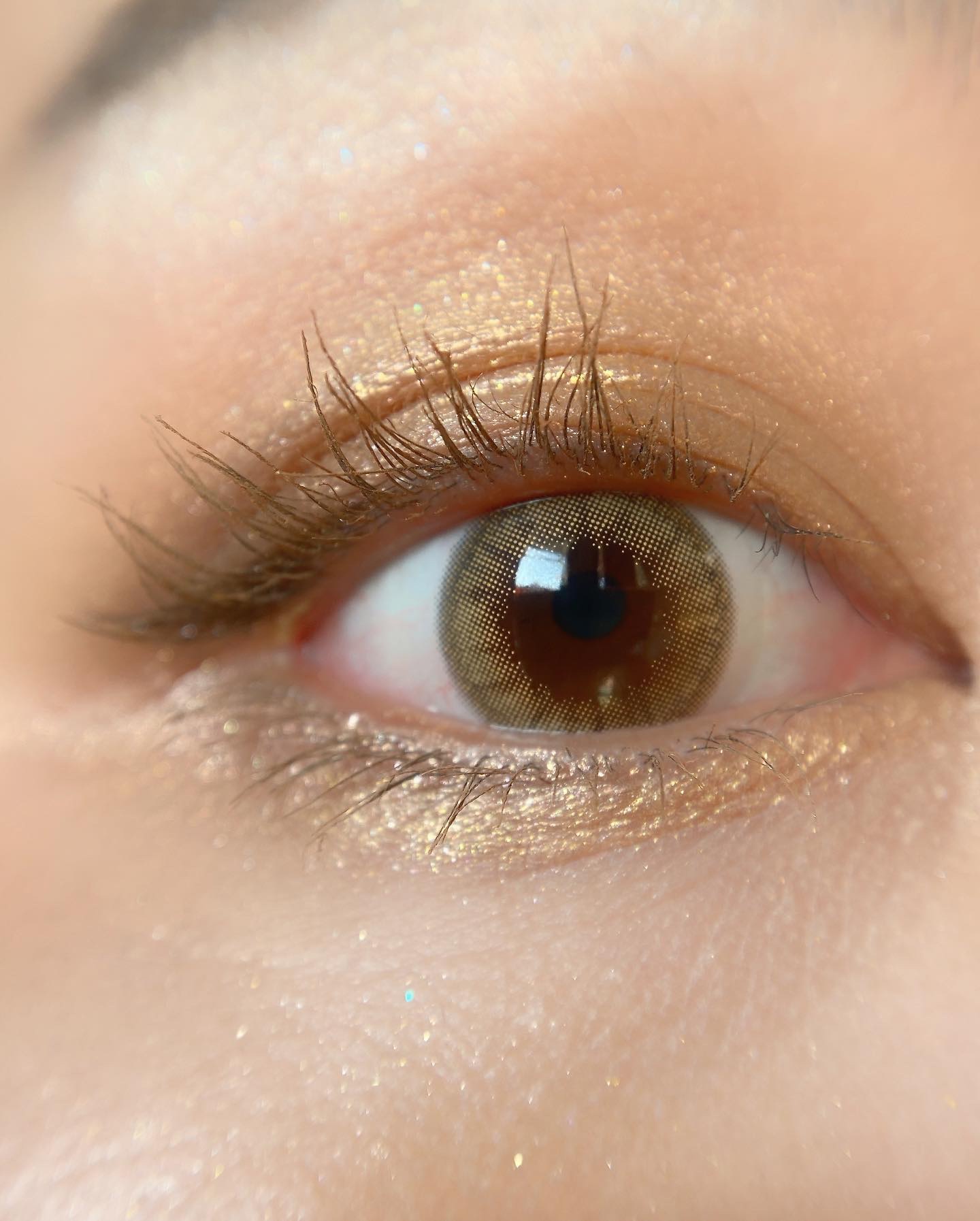 パーマネントカール マスカラ WP（ロング）/FASIO/マスカラを使ったクチコミ（2枚目）