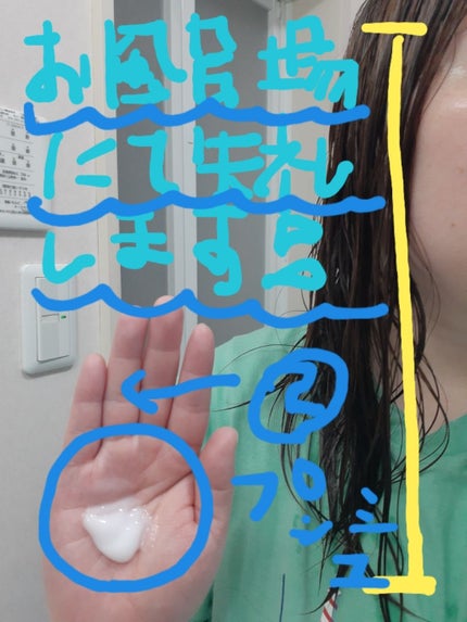 エッセンスインヘアミルク/オルビス/ヘアミルクを使ったクチコミ(2枚目)