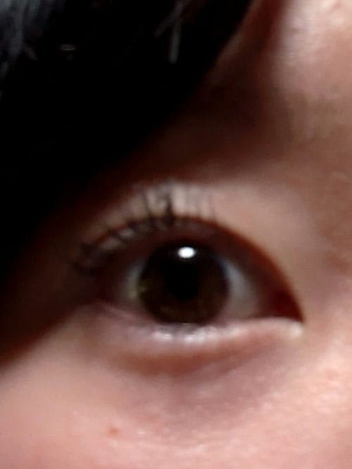 アイラッシュ /DAISO/つけまつげを使ったクチコミ(4枚目)