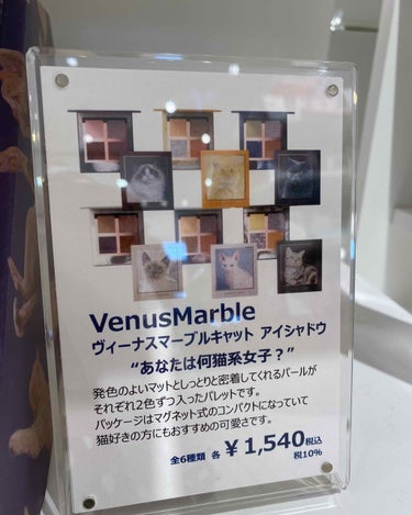 Venus Marble アイシャドウキャットシリーズ/Venus Marble/アイシャドウパレットを使ったクチコミ（4枚目）
