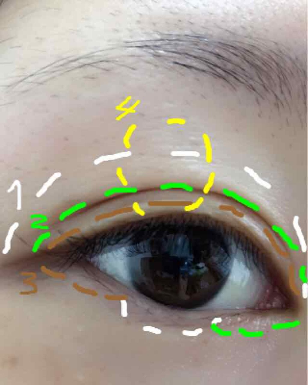 グロッシーリッチ アイズ/Visée/アイシャドウパレットを使ったクチコミ(2枚目)