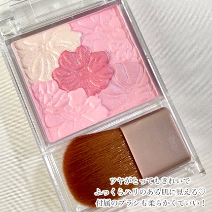 グロウフルールチークス/キャンメイク/パウダーチークを使ったクチコミ(4枚目)