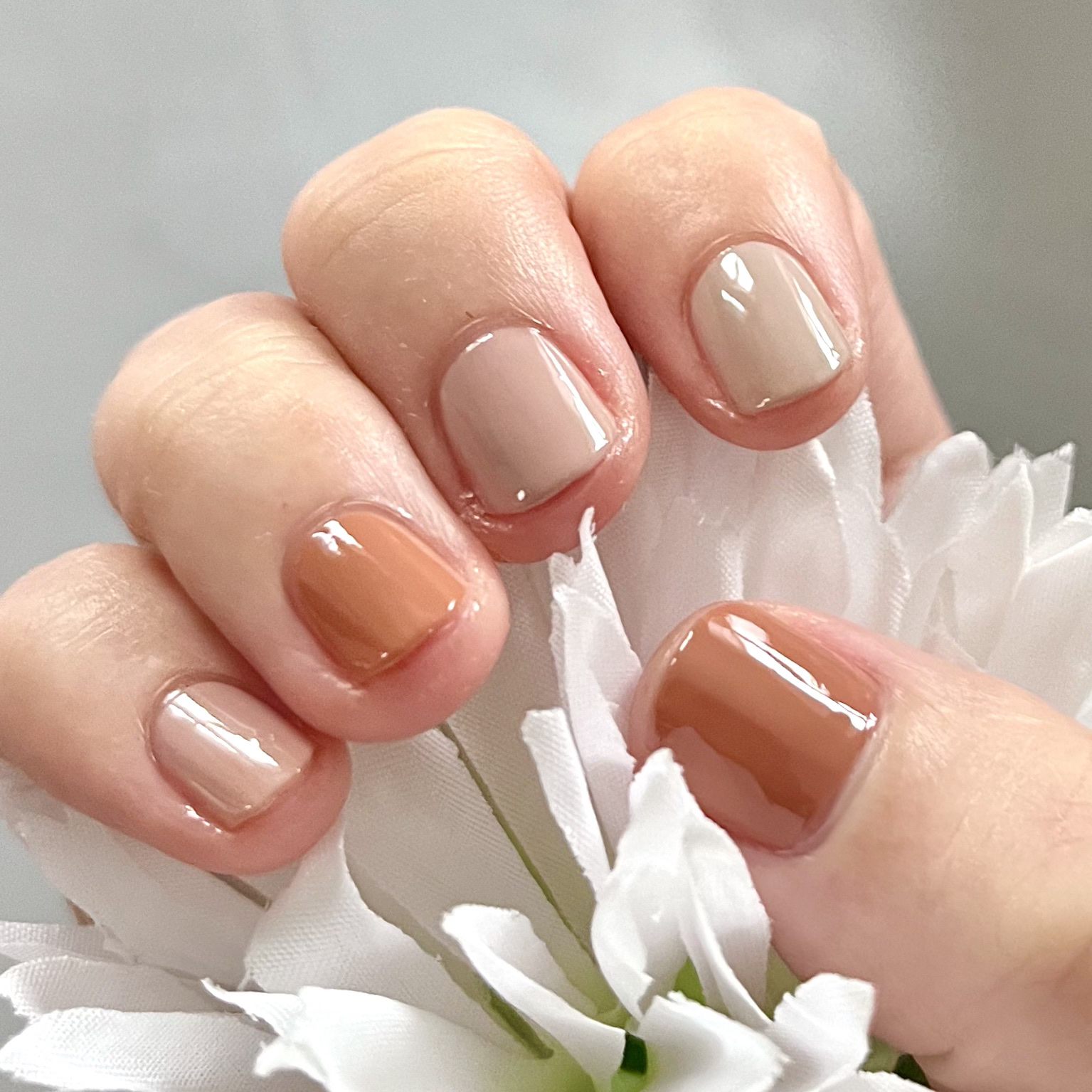 CTMCCネイルポリッシュ ダスティピンク/セリア/マニキュアを使ったクチコミ（1枚目）