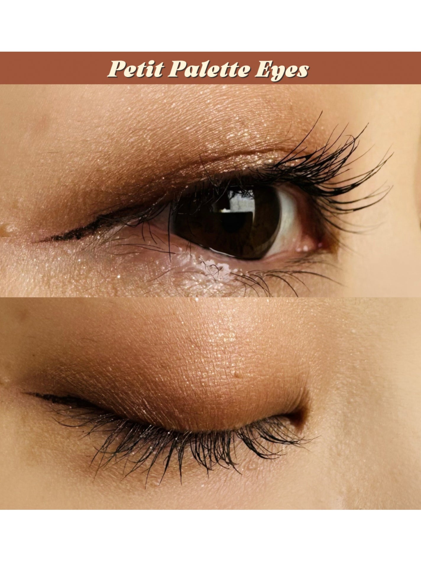 プティパレットアイズ/キャンメイク/パウダーアイシャドウを使ったクチコミ(3枚目)