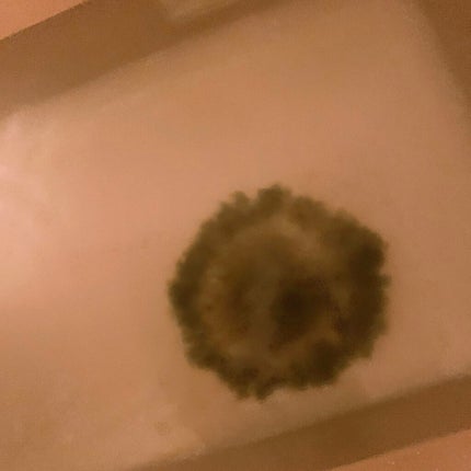 Ayur Time アーユルタイム シトラス&ベルガモットの香り/バスクリン/入浴剤を使ったクチコミ(7枚目)