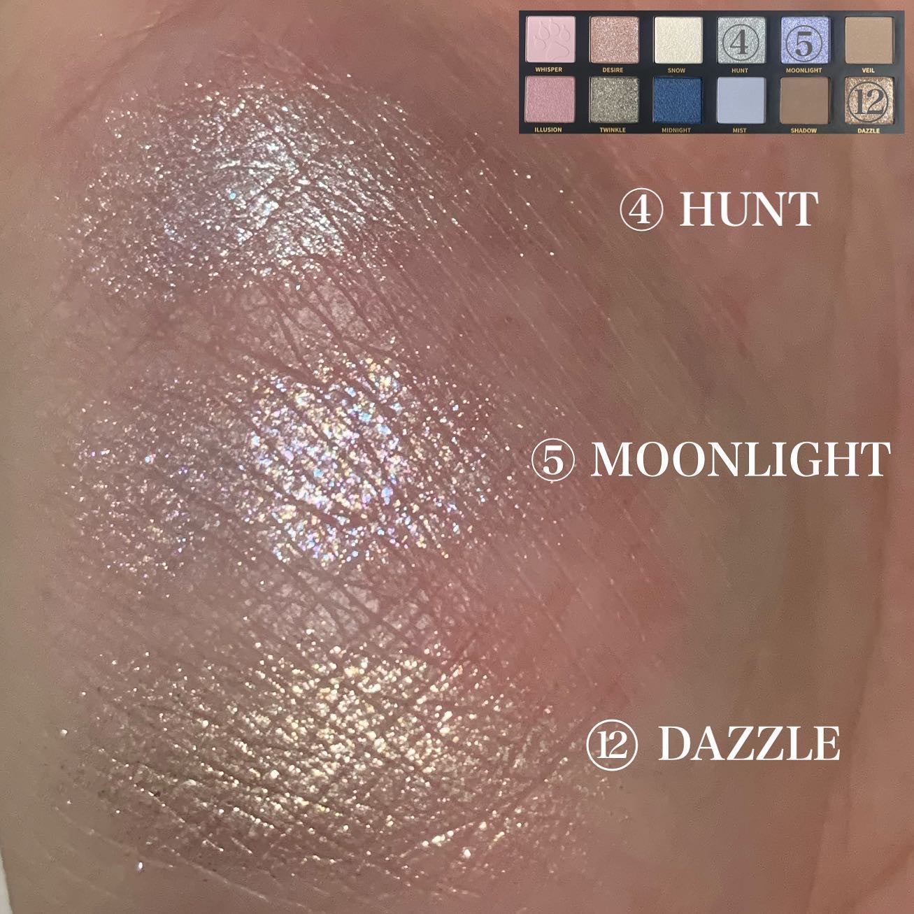 エクスプローラ12色 動物アイシャドウパレット/PERFECT DIARY/アイシャドウパレットを使ったクチコミ(6枚目)