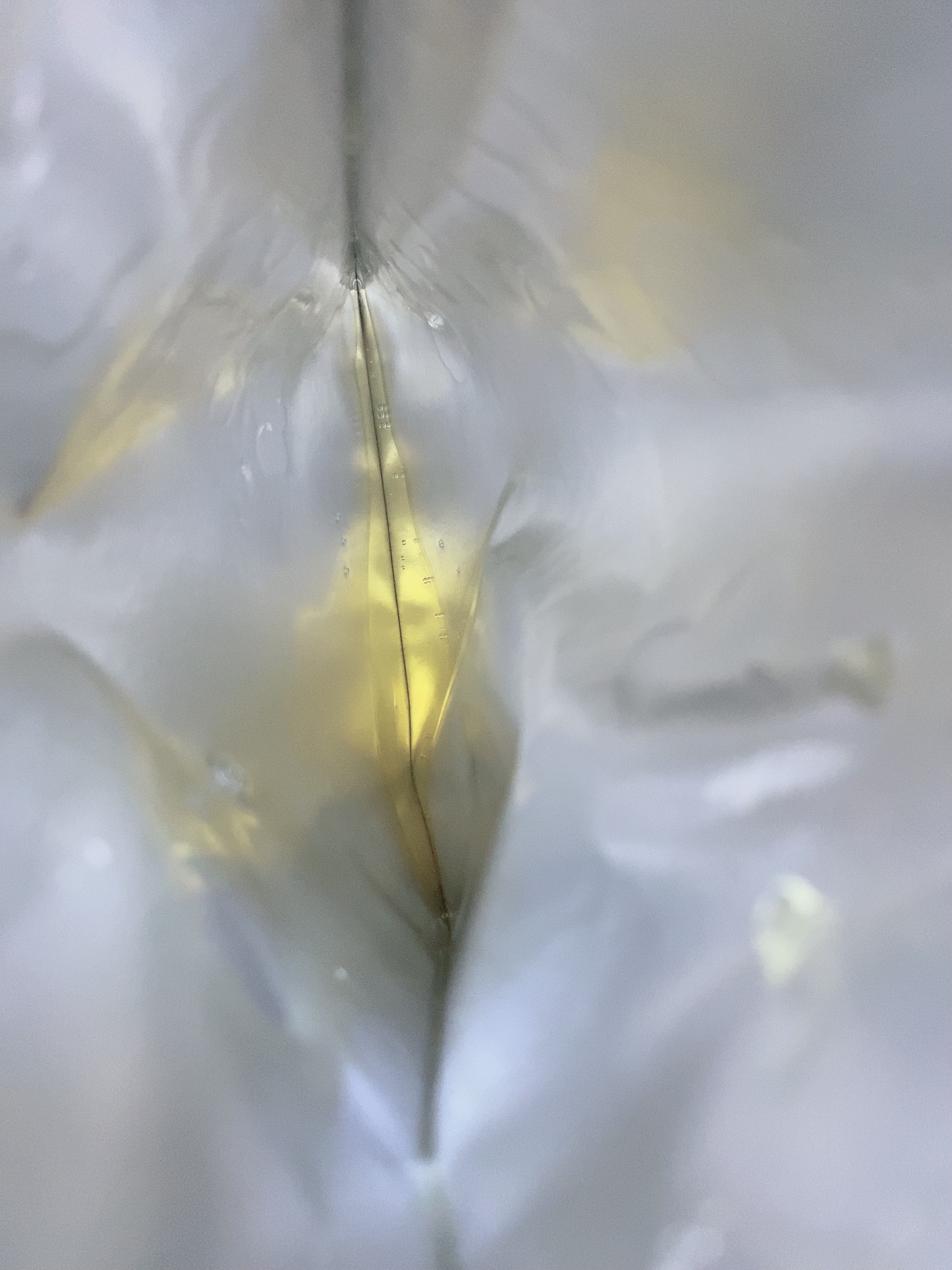 ハニールミナスロイヤル プロポリスマスクアルファ/JMsolution/シートマスク・パックを使ったクチコミ（3枚目）