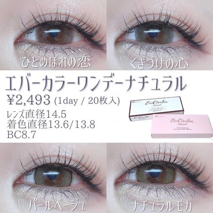 エバーカラーワンデー ナチュラル/エバーカラー/ワンデー(1DAY)カラコンを使ったクチコミ(2枚目)