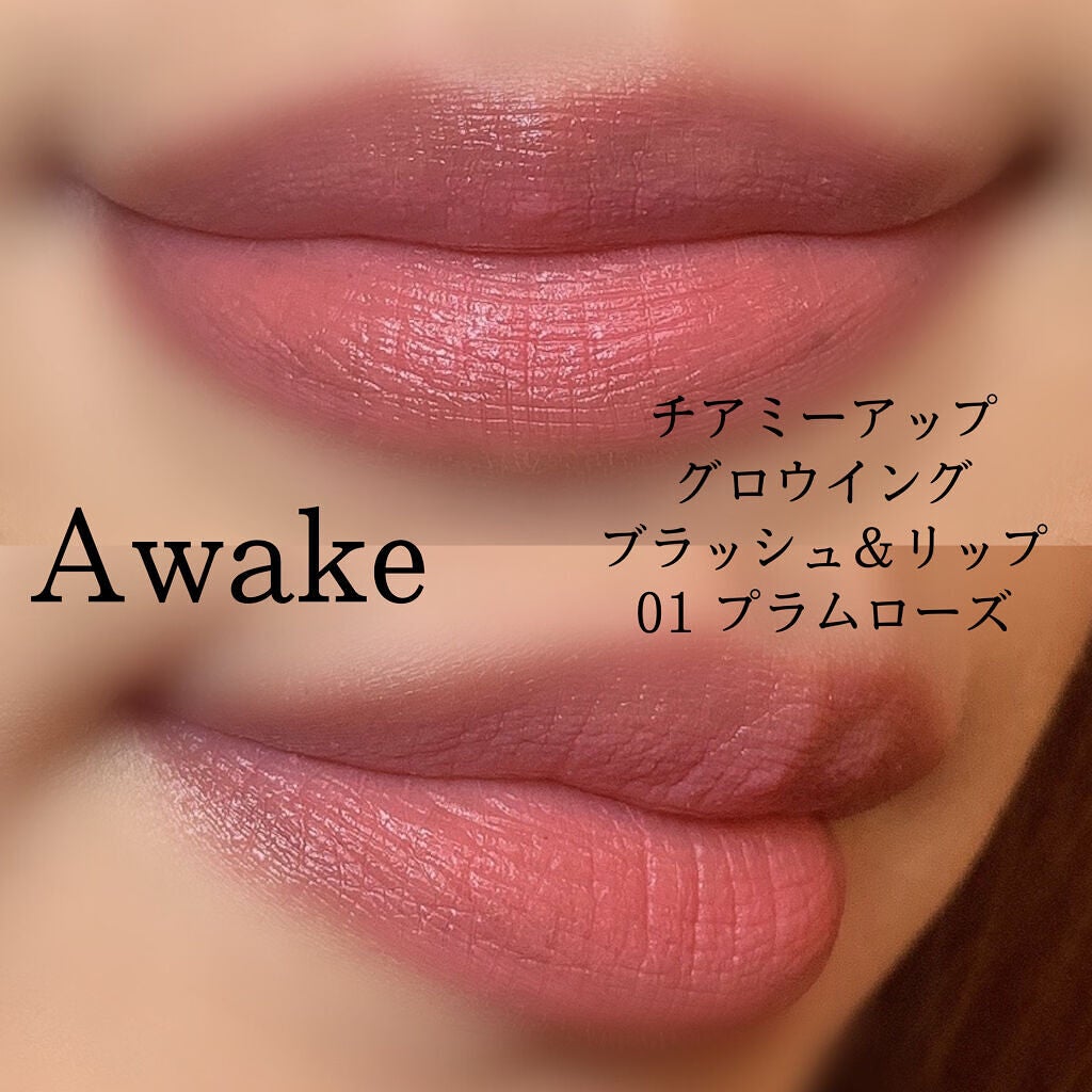 チアミーアップ グロウイング ブラッシュ&リップ/Awake/口紅を使ったクチコミ(4枚目)