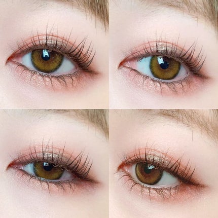 グロッシーリッチ アイズ N/Visée/アイシャドウパレットを使ったクチコミ(3枚目)