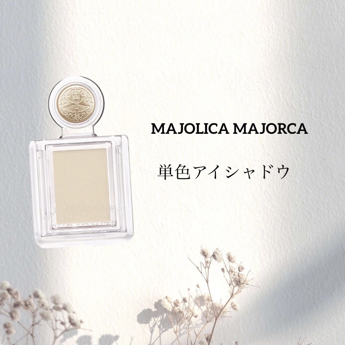 シャドーカスタマイズ BE121 恋の達人/MAJOLICA MAJORCA/単色アイシャドウを使ったクチコミ（1枚目）