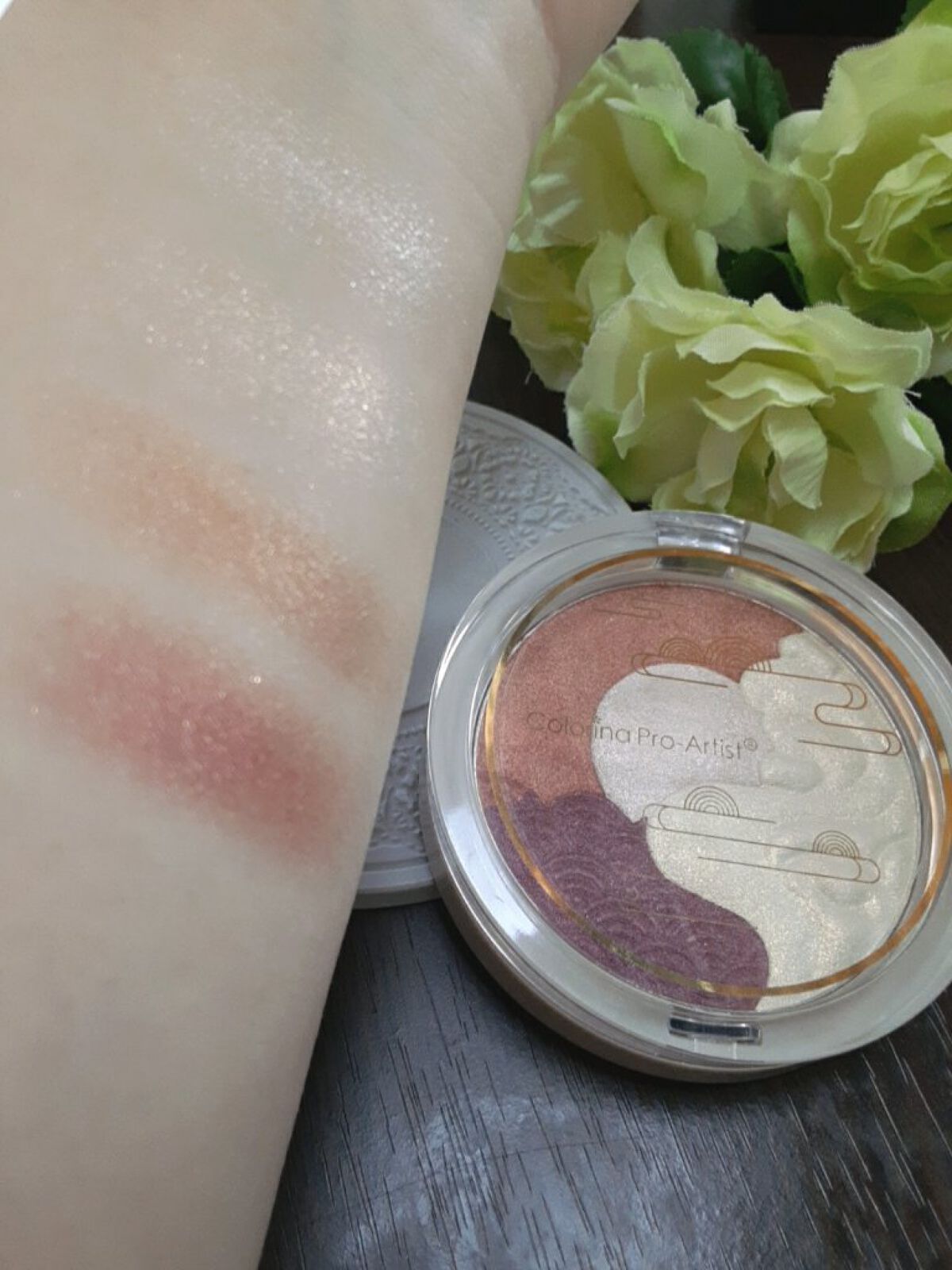 アイシャドウパレット/Colorina Pro-Artist/アイシャドウパレットを使ったクチコミ（3枚目）