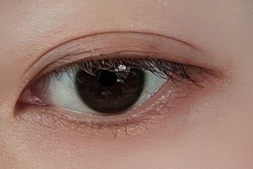 プロ アイ パレット/CLIO/アイシャドウパレットを使ったクチコミ(1枚目)