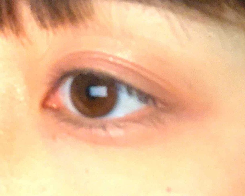 ダークローズシャドウ/KATE/アイシャドウパレットを使ったクチコミ(1枚目)