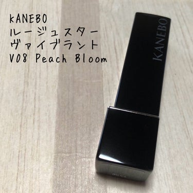 ルージュスターヴァイブラント/KANEBO/口紅を使ったクチコミ（1枚目）