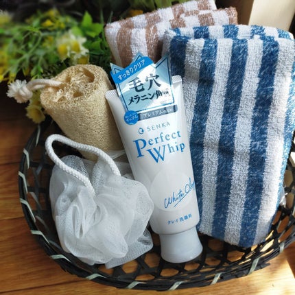 パーフェクトホワイトクレイ/SENKA(専科)/洗顔フォームを使ったクチコミ(1枚目)