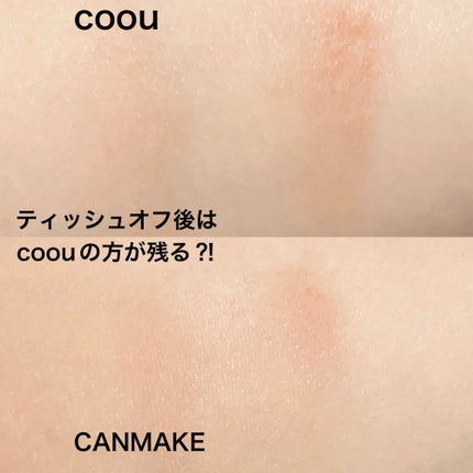 ラスティングマルチアイベース WP/キャンメイク/アイシャドウベースを使ったクチコミ(6枚目)