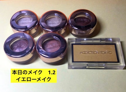 ノーズ&アイブロウパウダー/CEZANNE/パウダーアイブロウを使ったクチコミ(1枚目)