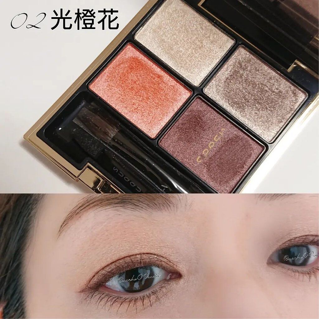 デザイニング カラー アイズ/SUQQU/アイシャドウパレットを使ったクチコミ（1枚目）