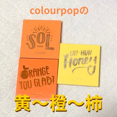 ORANGE YOU GLAD/ColourPop/アイシャドウパレットを使ったクチコミ（1枚目）