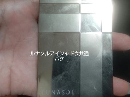 スキンモデリングアイズ/LUNASOL/アイシャドウパレットを使ったクチコミ(2枚目)