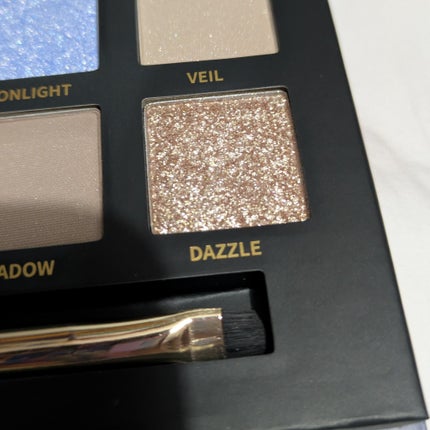 エクスプローラ12色 動物アイシャドウパレット/PERFECT DIARY/アイシャドウパレットを使ったクチコミ(4枚目)