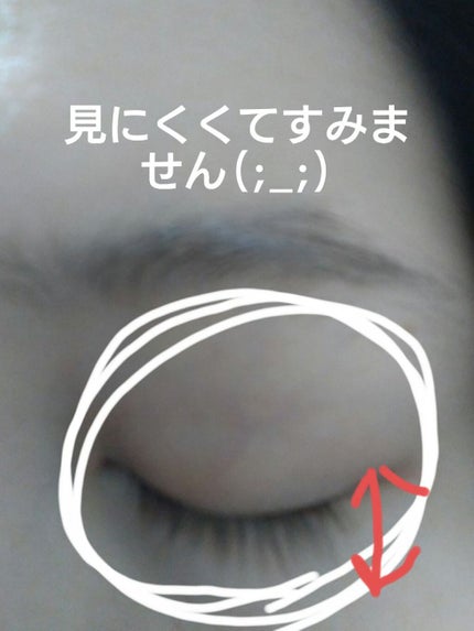 EMAKED(エマーキット)/水橋保寿堂製薬/まつげ美容液を使ったクチコミ(2枚目)