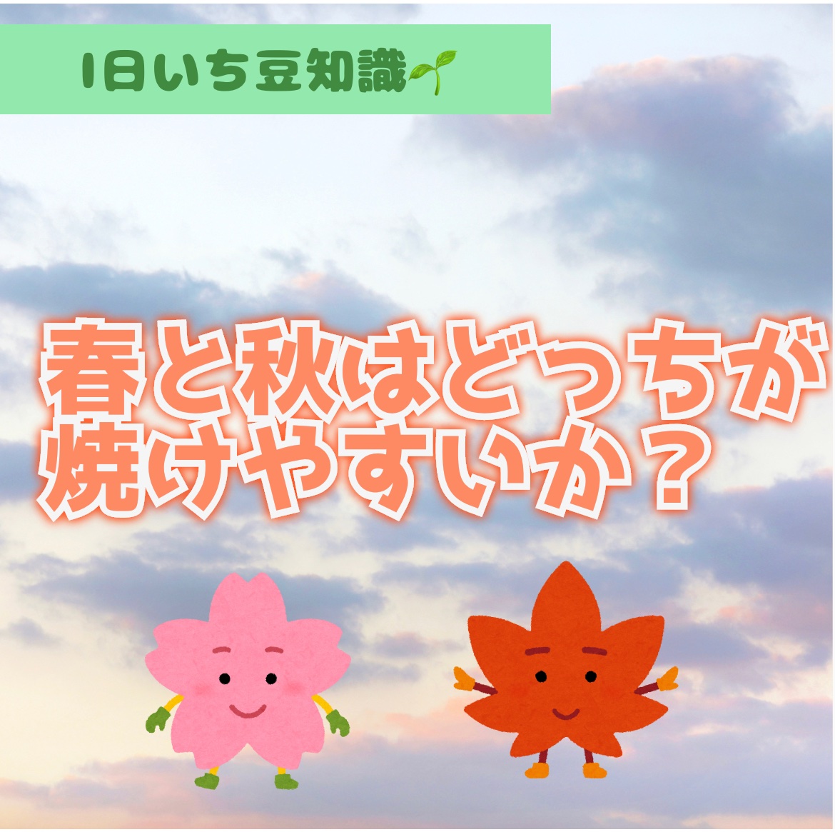 DHC ビタミンＣハードカプセル/DHC/美容サプリメントを使ったクチコミ（1枚目）