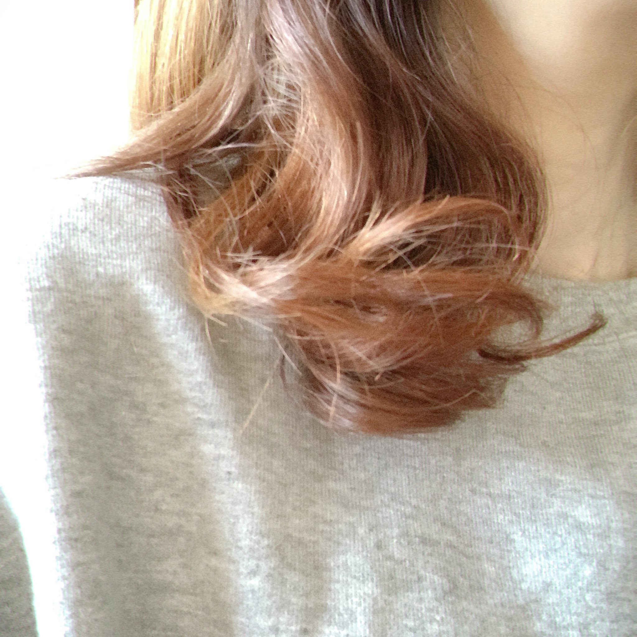 リフレッシュモーメントパフュームシャンプー/トリートメント Jeju Camellia/Free Moment /市販シャンプーを使ったクチコミ（2枚目）