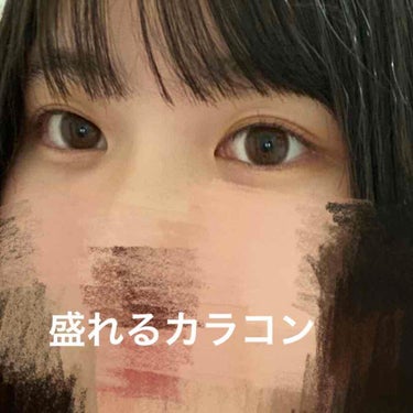 ぜっとん on LIPS 「PutPutの一ヶ月用のカラコンです。色はパムブラウンです。値..」（1枚目）