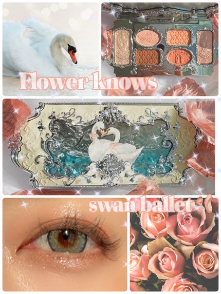 FlowerKnows フラワーノーズスワンバレエシリーズ アイシャドウパレットのクチコミ「FlowerKnows
フラワーノーズスワンバレエシリーズ アイシャドウパレット 01ホワイト.....」(1枚目)