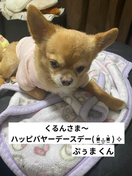 【旧】サンク クルール クチュール/Dior/アイシャドウパレットを使ったクチコミ(8枚目)