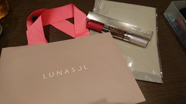 ドレスフォーリップス/LUNASOL/口紅を使ったクチコミ（2枚目）