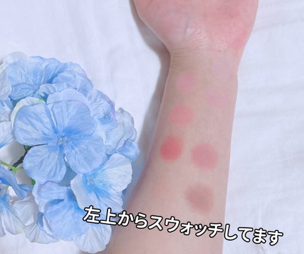 プロ アイ パレット/CLIO/アイシャドウパレットを使ったクチコミ(2枚目)