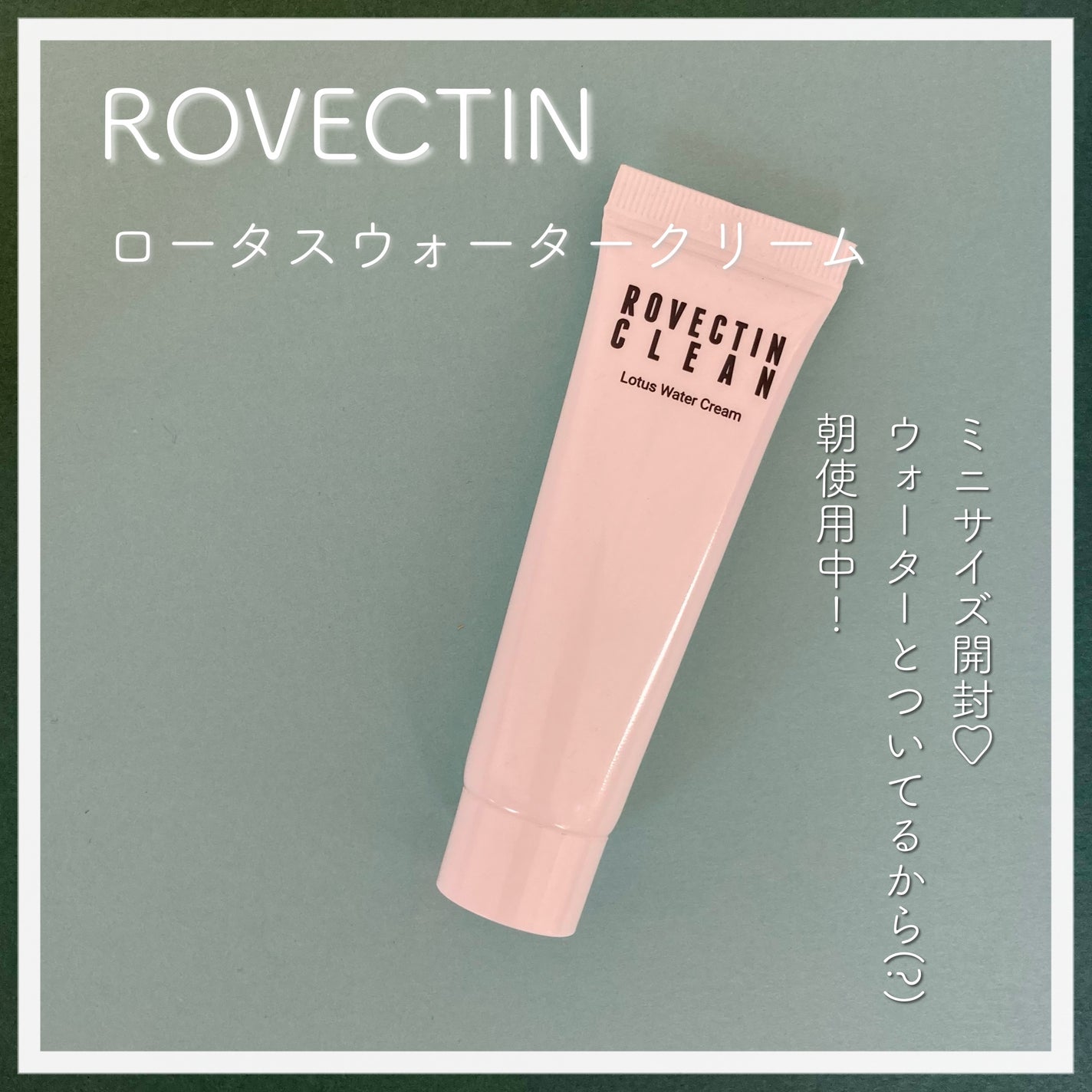 クリーン ロータスウォータークリーム/ロベクチン/フェイスクリームを使ったクチコミ(1枚目)