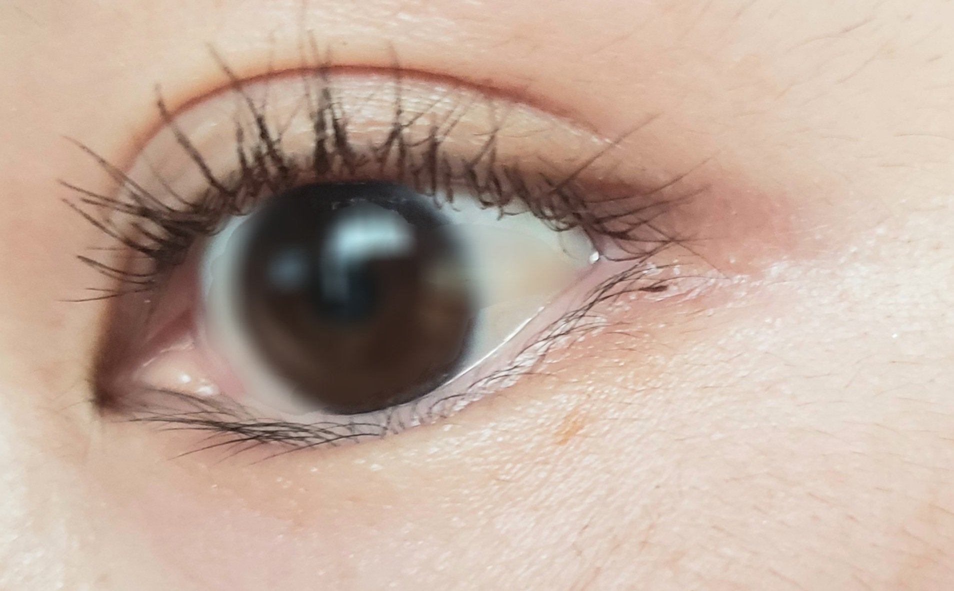 束感まつげコーミングピンセット/SHOBIDO/その他化粧小物を使ったクチコミ（2枚目）