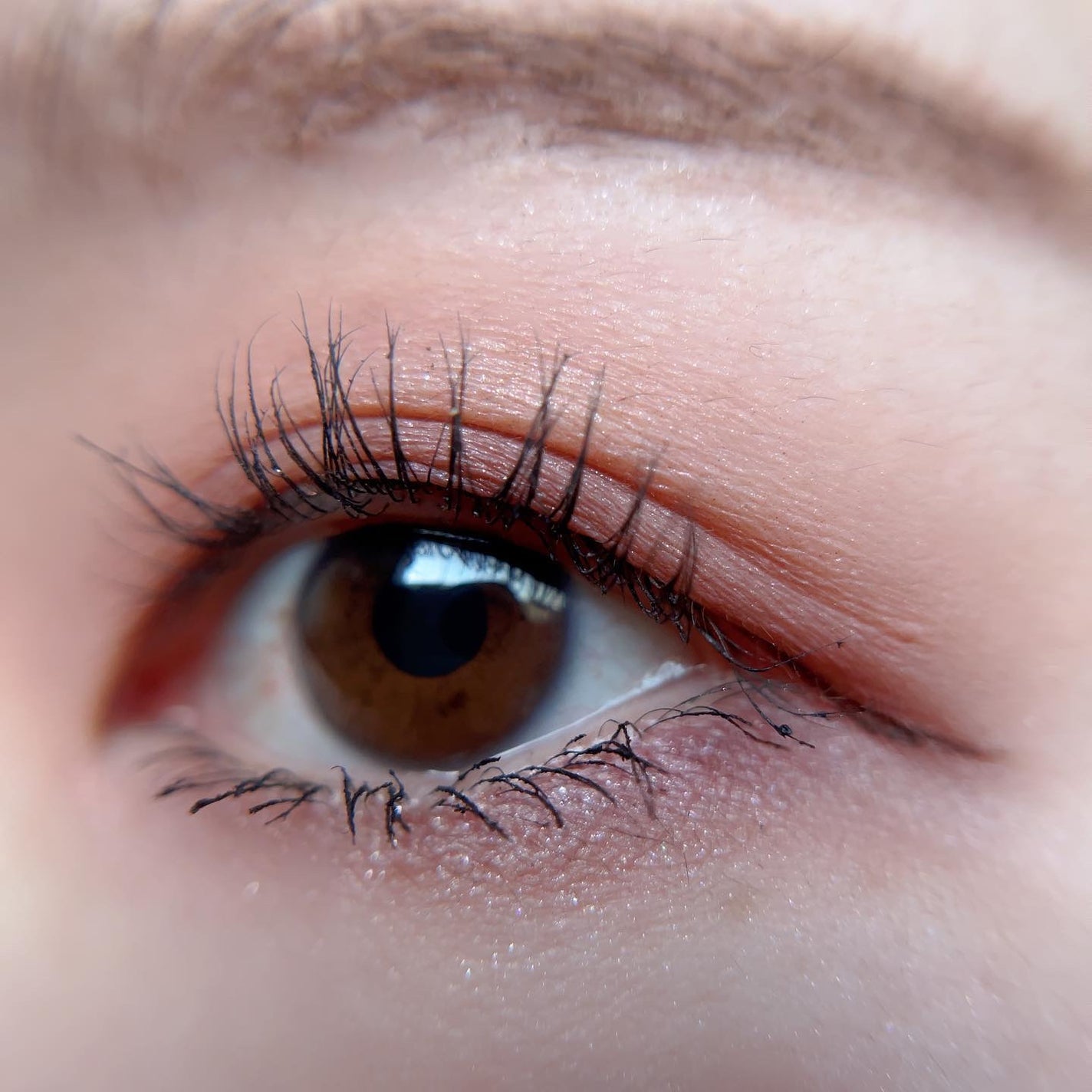 あゆみ on LIPS 「・\#todaysmake/・アイシャドウ☑#CHANELアン..」(3枚目)