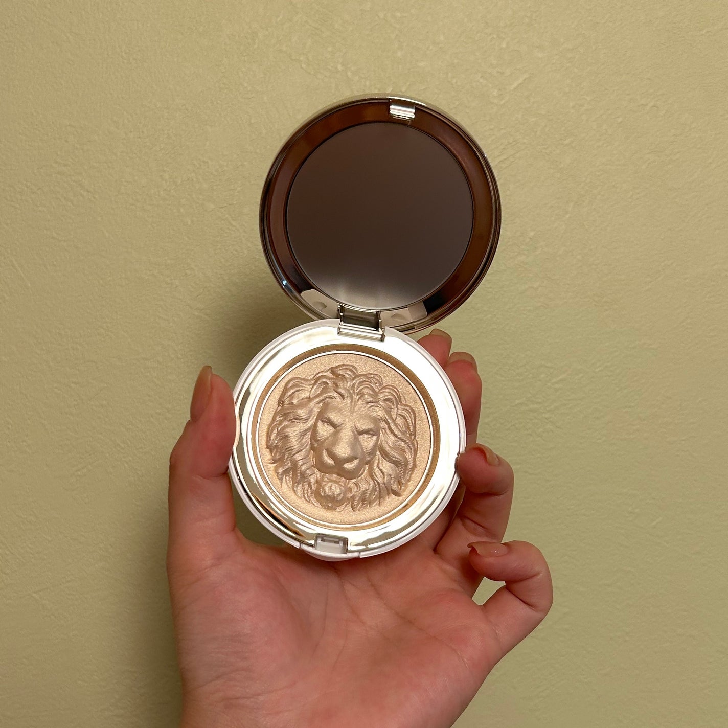 しに子ちゃん on LIPS 「完全パケ買いの衝動買いアイテムが届きました。ライオンさんかわち..」(4枚目)