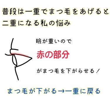 クイックラッシュカーラー/キャンメイク/マスカラ下地・トップコートを使ったクチコミ（2枚目）