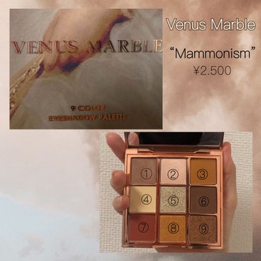 VenusMarble 9色アイシャドウパレット/Venus Marble/パウダーアイシャドウを使ったクチコミ（2枚目）