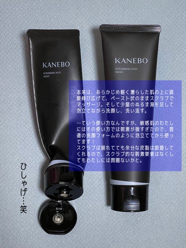 スクラビング　マッド　ウォッシュ/KANEBO/洗顔フォームを使ったクチコミ（3枚目）