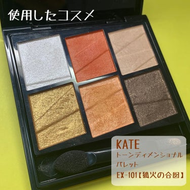 トーンディメンショナルパレット EX-101/KATE/メイクアップキットを使ったクチコミ（3枚目）