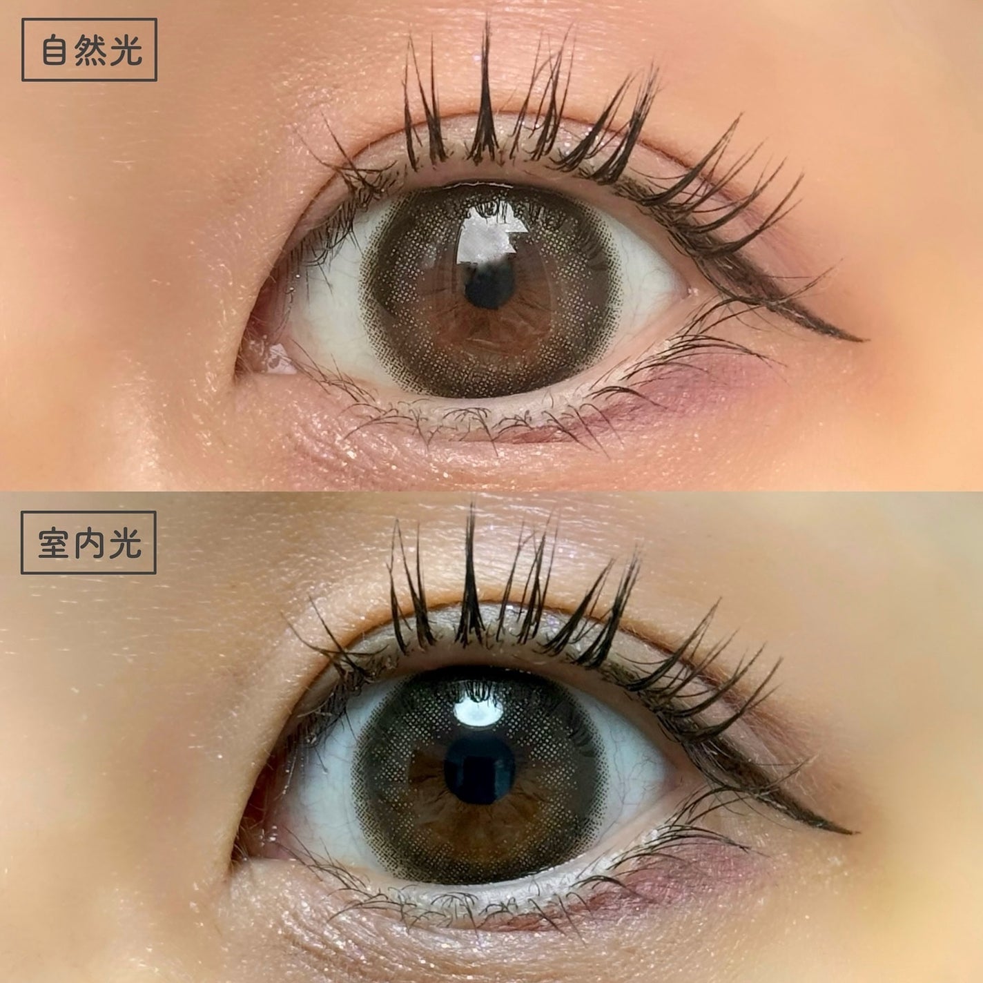 ramurie ラムリエ/ramurie/ワンデー(1DAY)カラコンを使ったクチコミ(4枚目)