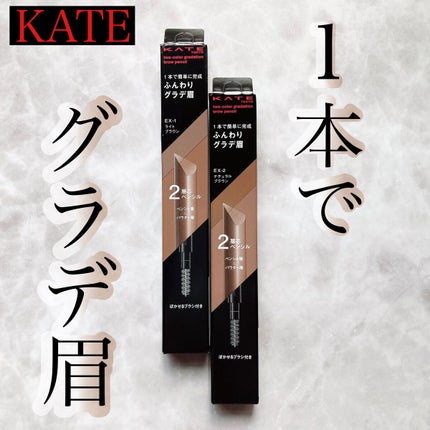 2カラーグラデーションブロウペンシル/KATE/アイブロウペンシルを使ったクチコミ(1枚目)