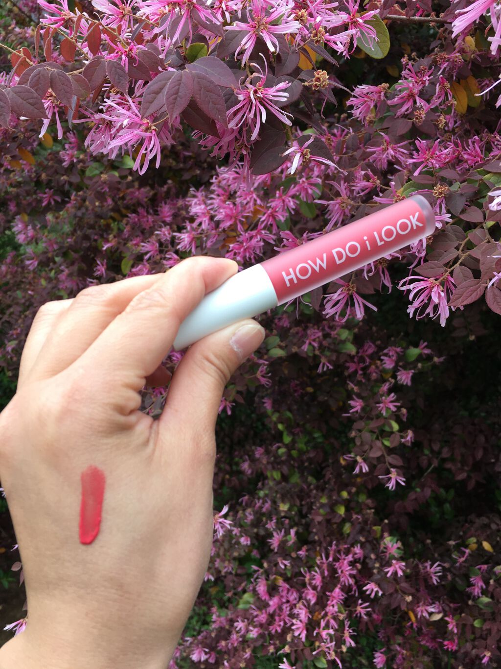 エマルジョンリップティント/HOWDOiLOOK/リップティントを使ったクチコミ(2枚目)