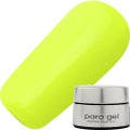 パラジェル DNE04 ライムイエロー