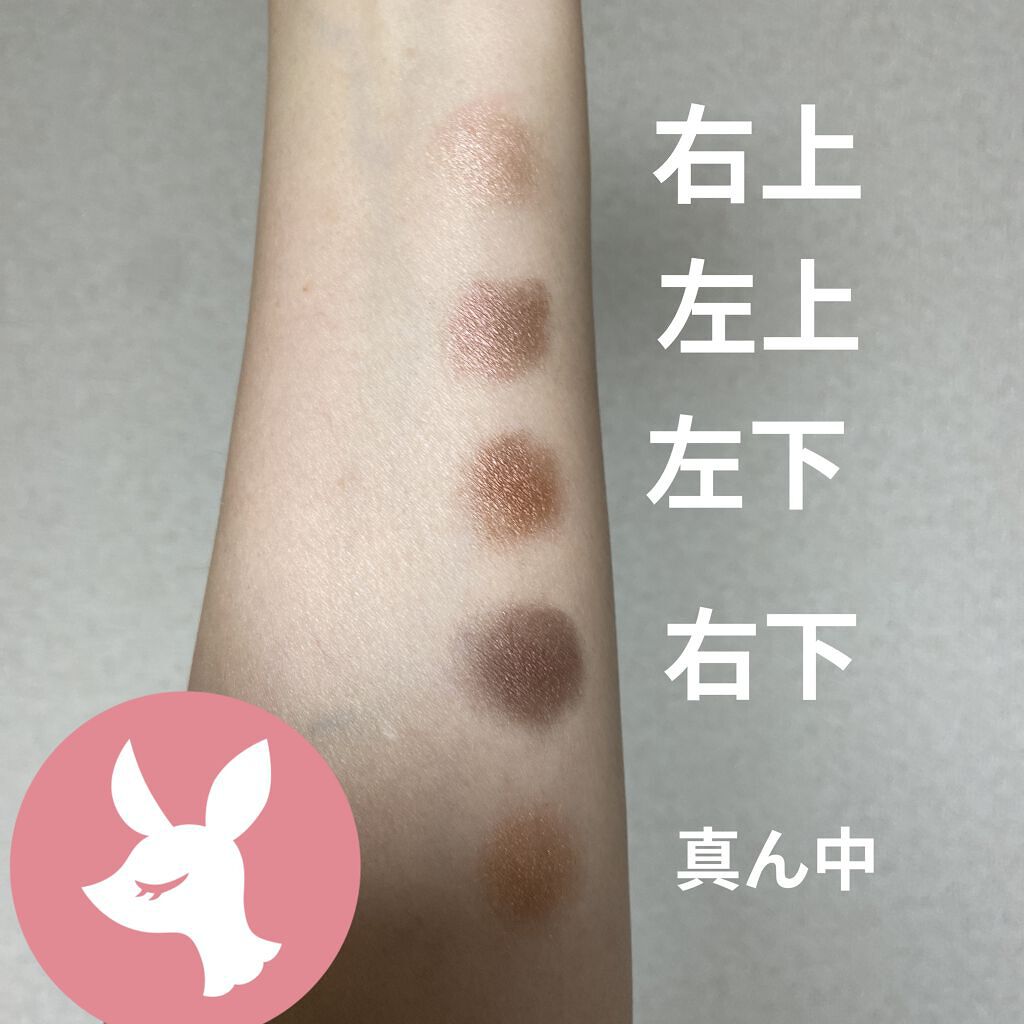 サンク クルール<ワイルド アース＞/Dior/アイシャドウパレットを使ったクチコミ（3枚目）