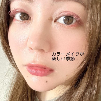 アニマルアイシャドウ(4シェード)/ZEESEA/アイシャドウパレットを使ったクチコミ(6枚目)