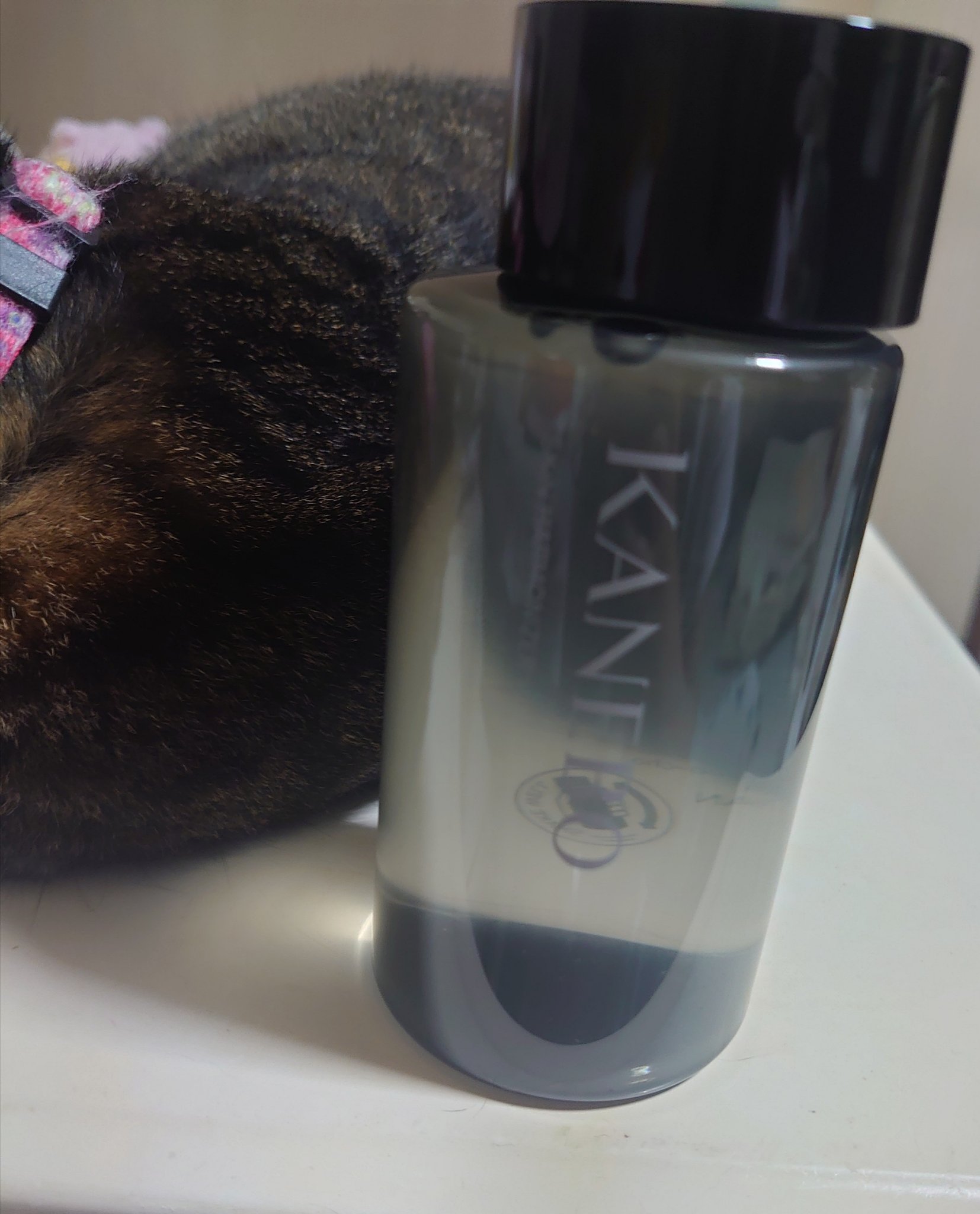 スキン　ハーモナイザー/KANEBO/化粧水を使ったクチコミ（1枚目）