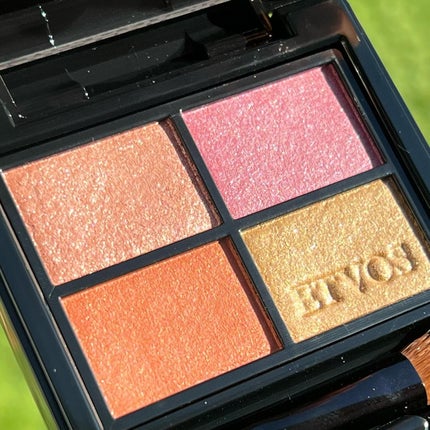 ミネラルクラッシィシャドー/エトヴォス/アイシャドウパレットを使ったクチコミ(3枚目)